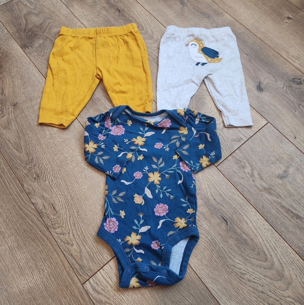 Carter's 3m Floral Bodysuit and Pants Set